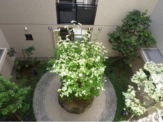 オザリア横濱仲町台 オザリア横濱仲町台