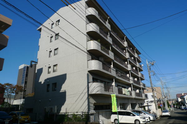 パルS&S パルS&S