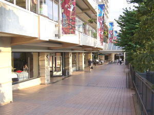 東急田園都市線 青葉台駅