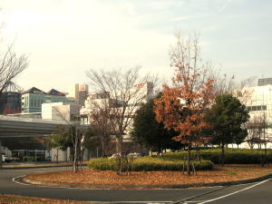 横浜市営地下鉄線 センター南駅