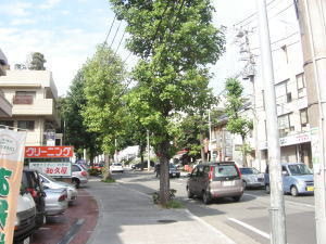 東急田園都市線 江田駅