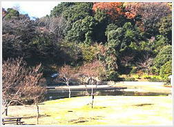 山田富士公園